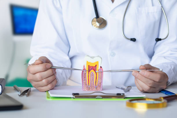 Best Emergency Care for Gum Disease in Lorena, TX